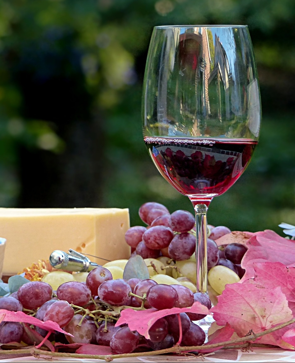 wein_weintrauben_käse wein_weintrauben_käse